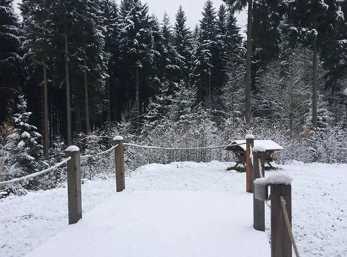 Ht