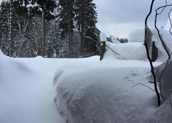 Ht Harrachov